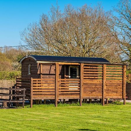 Hillside View Shepherds Hut - Ockeridge Rural Retreats Little Witley Exterior photo